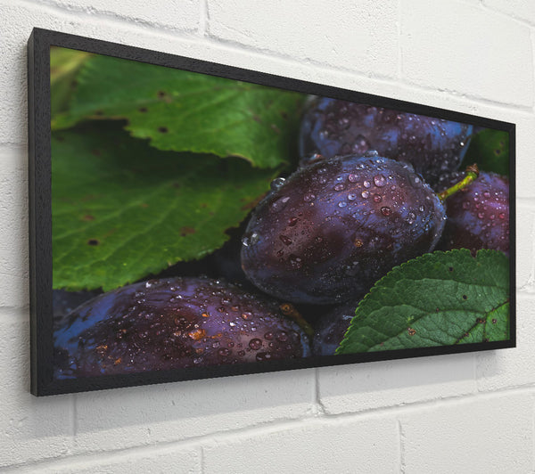 Purple Dewy Plums