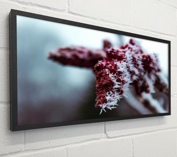 Crimson Frost Crystals