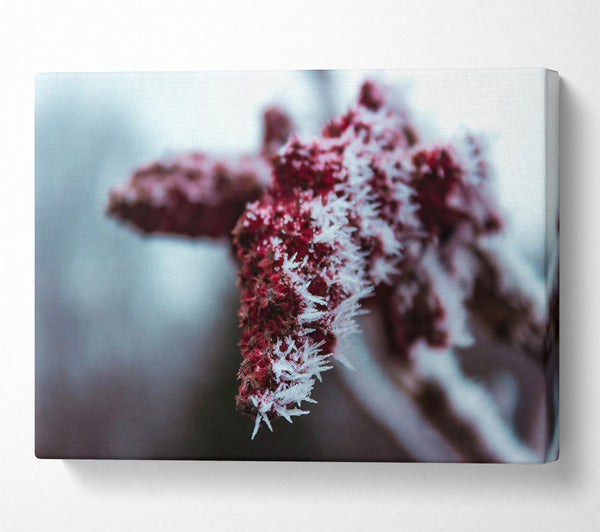 Crimson Frost Crystals Canvas Wall Art