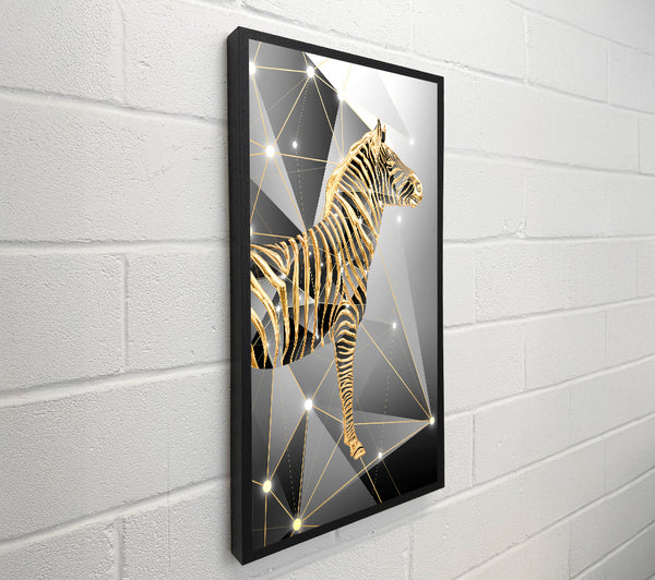 Gold Zebra