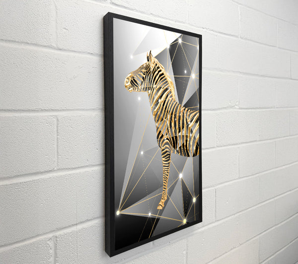 Golden Zebra