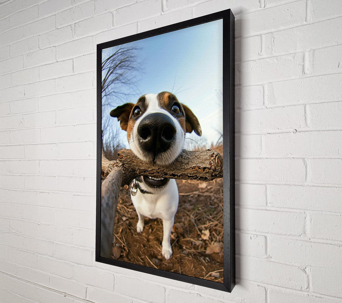  A Canvas Print of Good Boy With Stick Canvas Wall Art