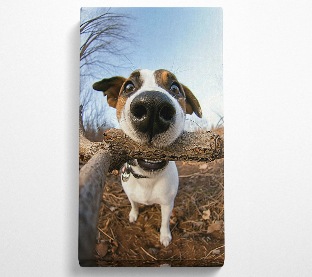  A Canvas Print of Good Boy With Stick Canvas Wall Art