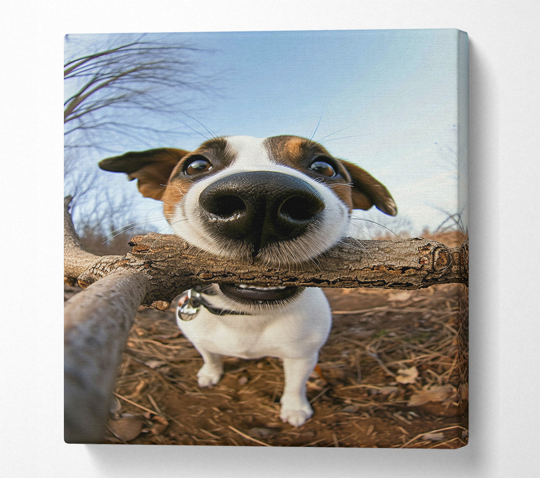  A Canvas Print of Good Boy With Stick Canvas Wall Art