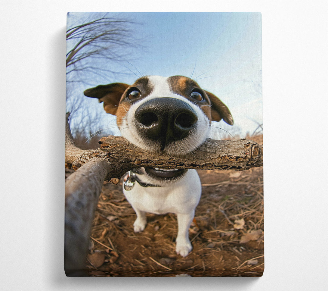  A Canvas Print of Good Boy With Stick Canvas Wall Art