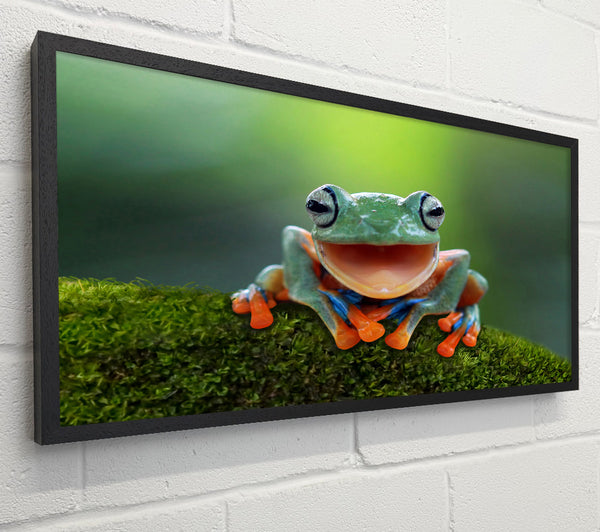 Green Frog Smile