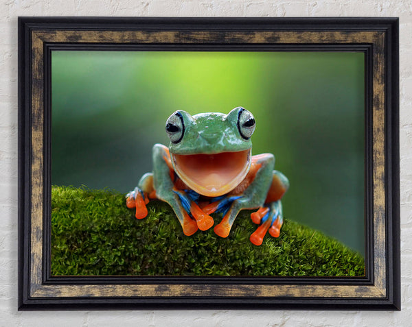 Green Frog Smile Framed Print