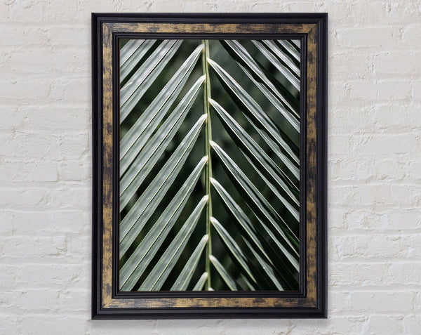 Green Leaves Framed Print