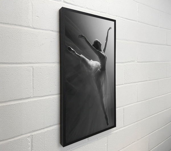 Grey Ballerina