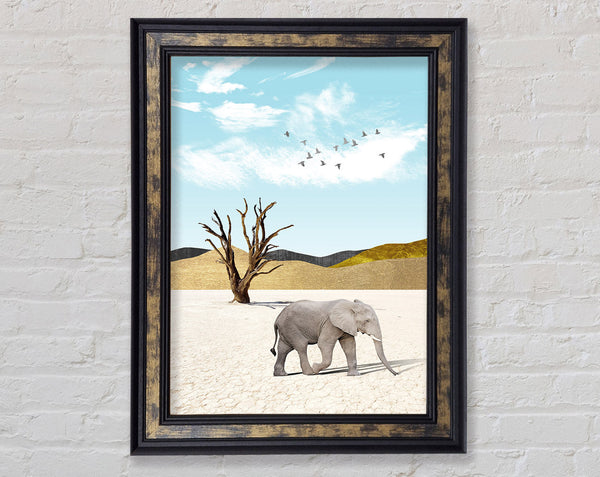 Grey Elephant In Dessert Framed Print