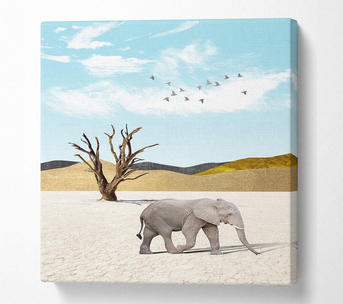  A Canvas Print of Grey Elephant In Dessert Canvas Print