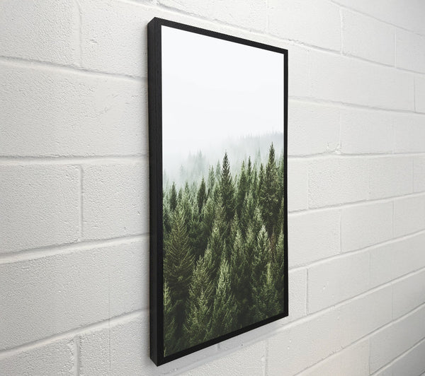 Greyish Sky Forest