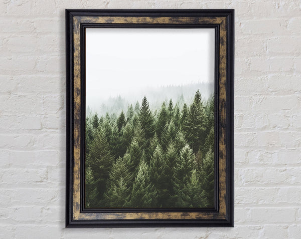 Greyish Sky Forest Framed Print