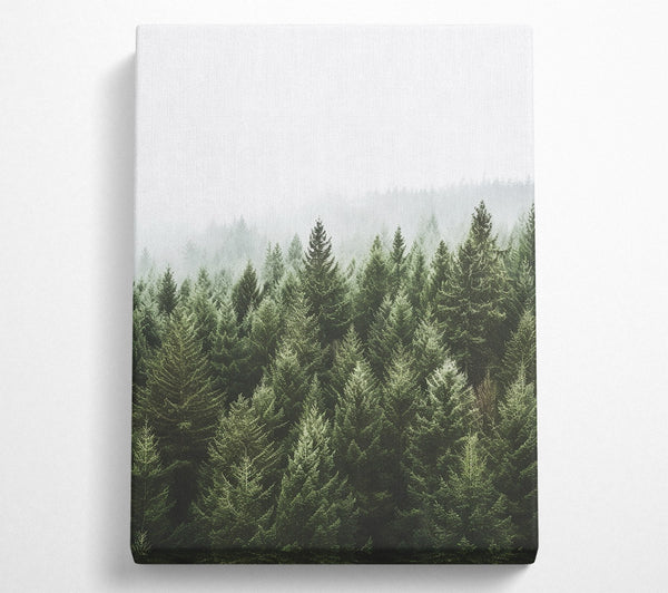  A Canvas Print of Greyish Sky Forest Canvas Wall Art