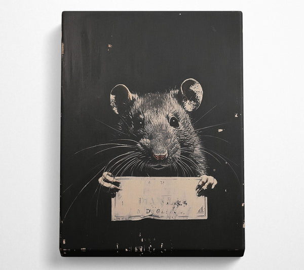  A Canvas Print of Guilty Rat Canvas Print