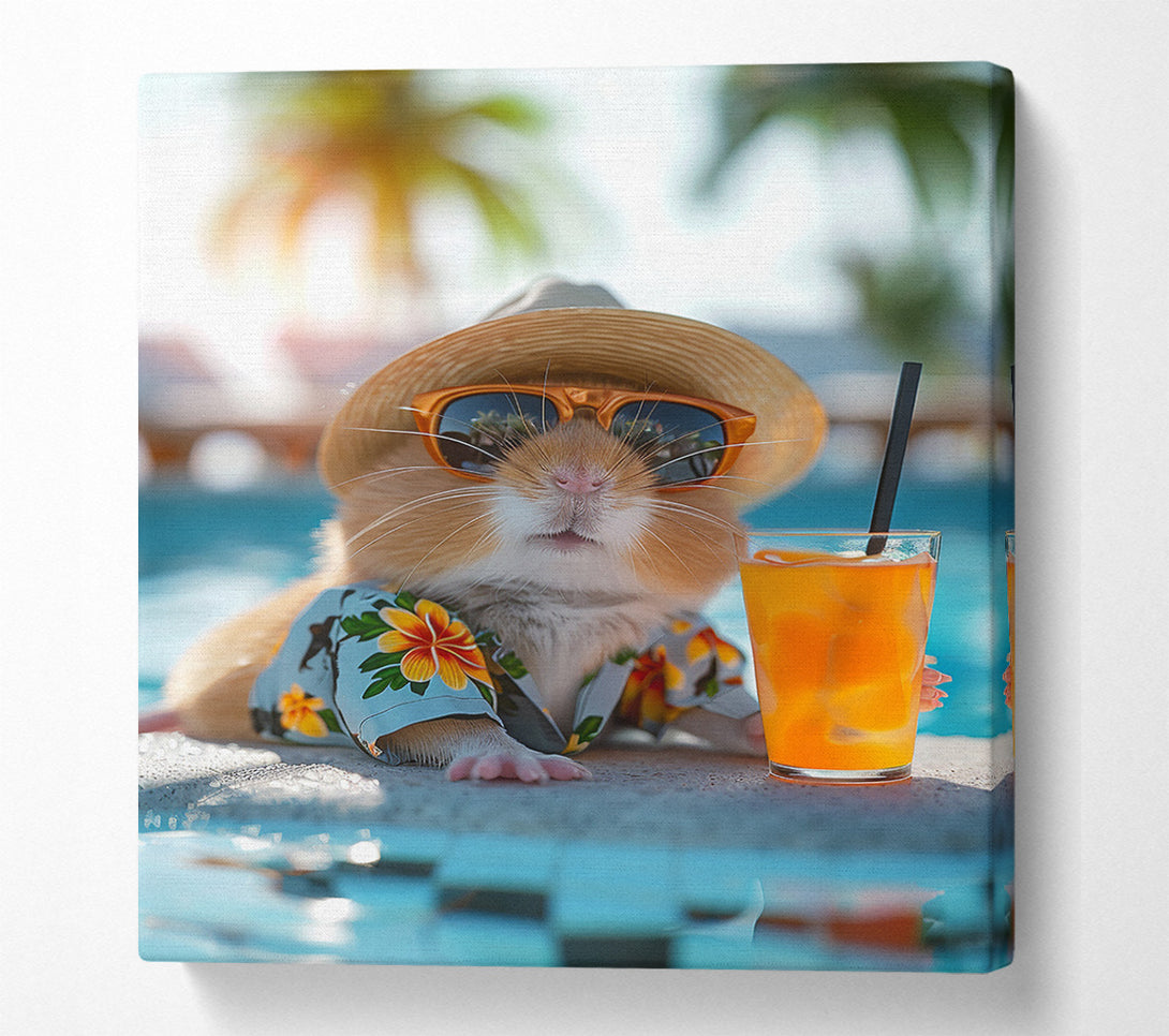 A Canvas Print of Guinea Pig In The Sun Canvas Wall Art