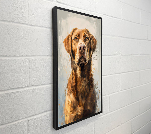 Handsome Retriever