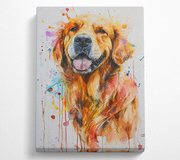  A Canvas Print of Happy Golden Retriever Canvas Art