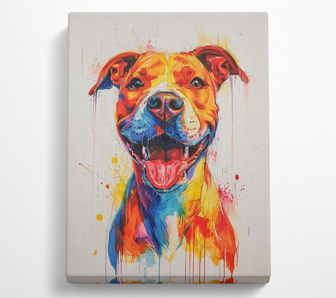  A Canvas Print of Happy Staffy Canvas Art