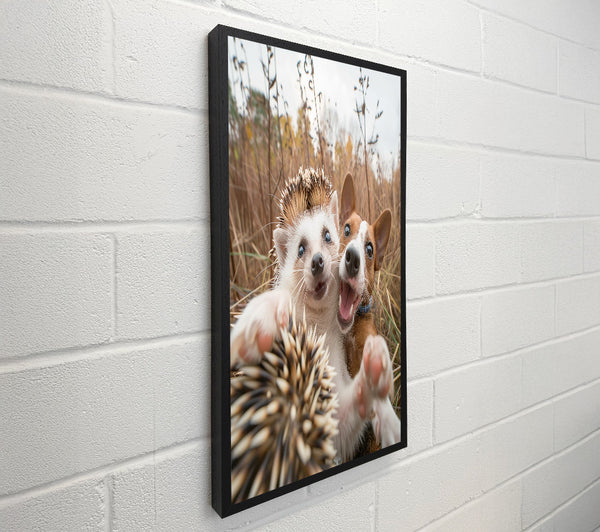 Hedgehog And Dog Selfie