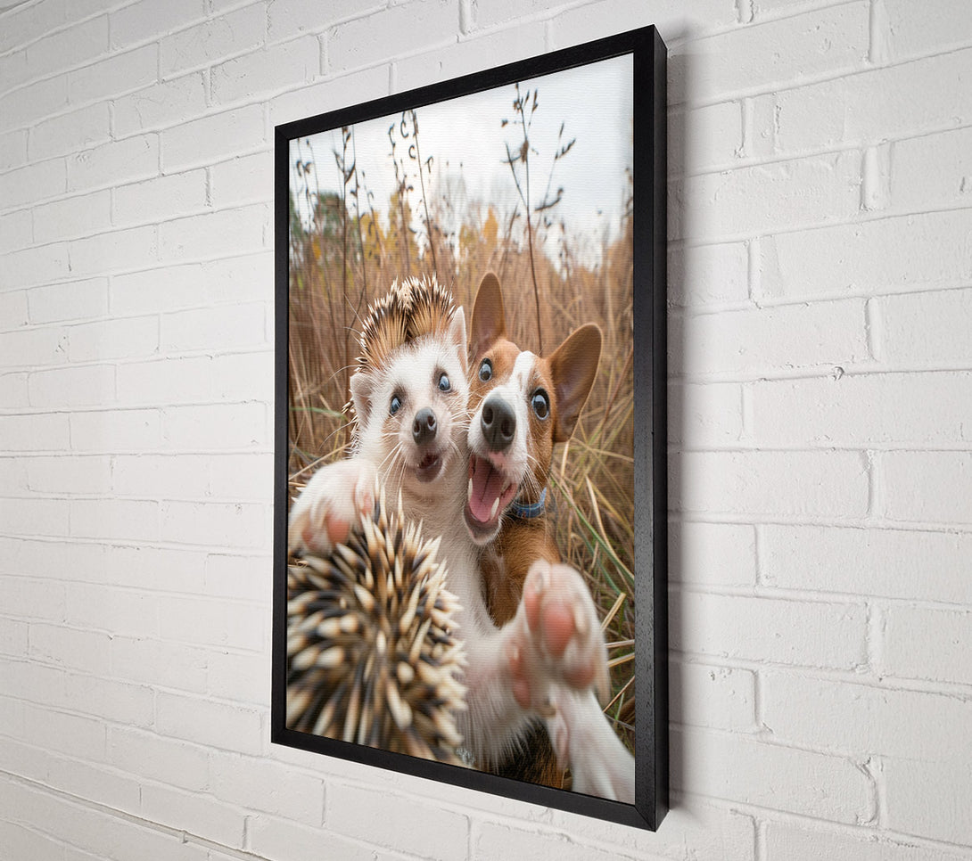  A Canvas Print of Hedgehog And Dog Selfie Canvas Wall Art