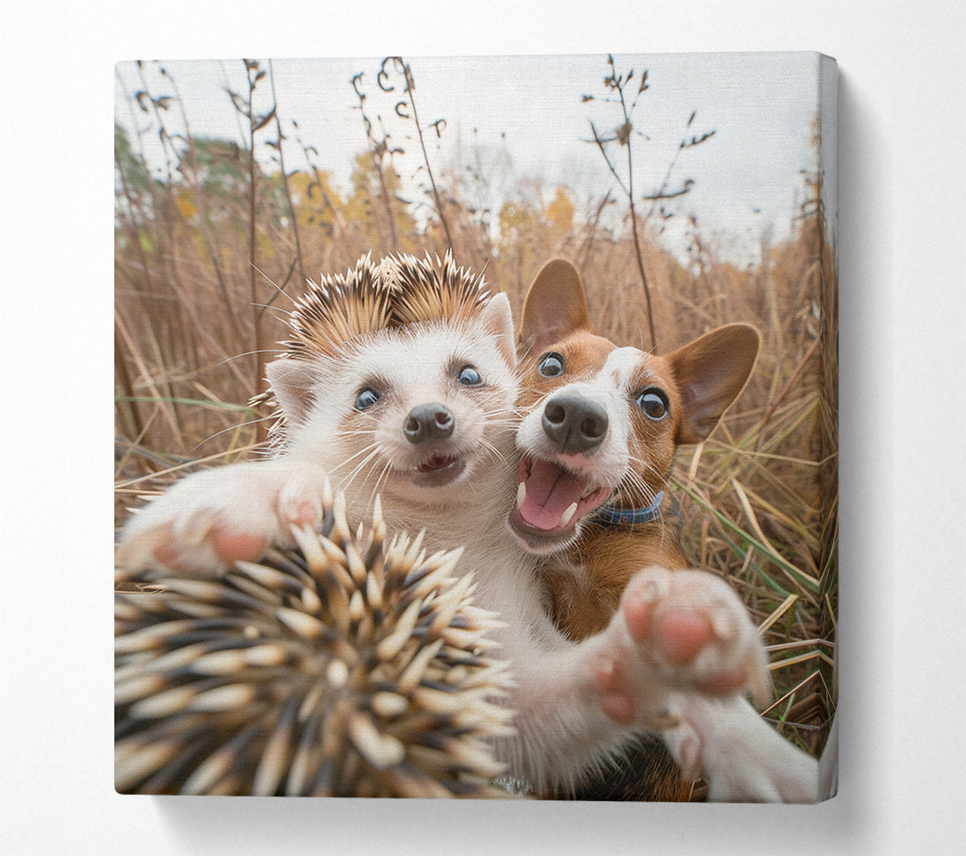  A Canvas Print of Hedgehog And Dog Selfie Canvas Wall Art