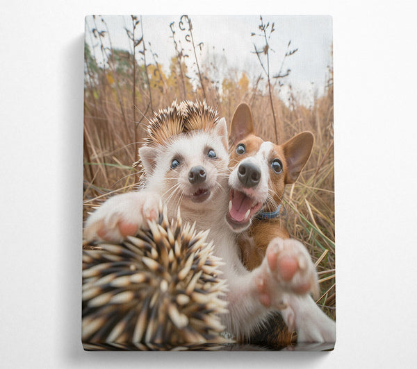  A Canvas Print of Hedgehog And Dog Selfie Canvas Wall Art