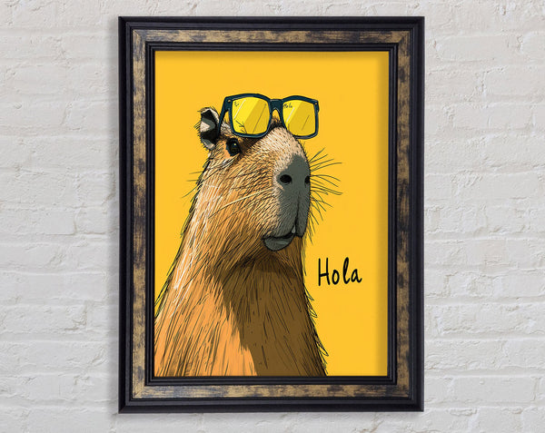 Hola Framed Print