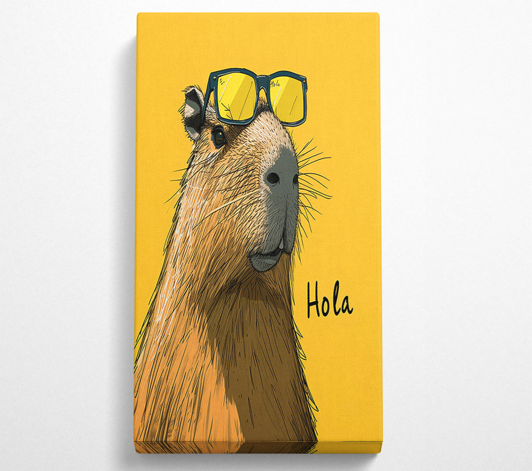  A Canvas Print of Hola Canvas Art