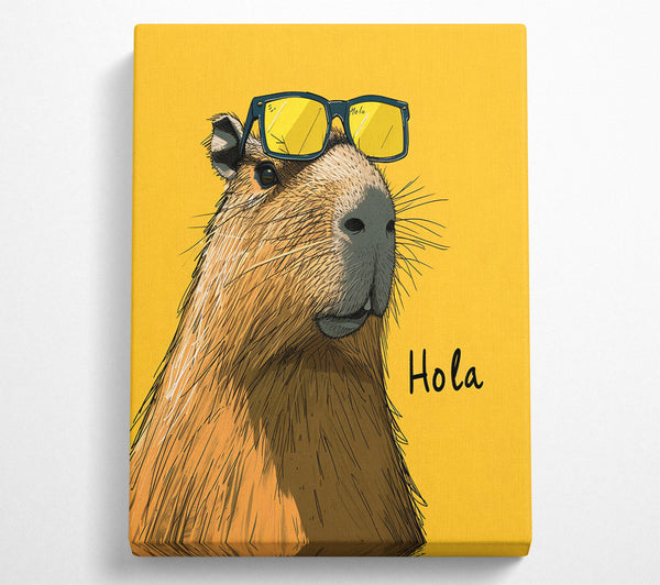  A Canvas Print of Hola Canvas Art
