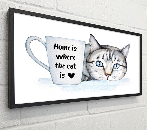Home Is Where The Cat Is