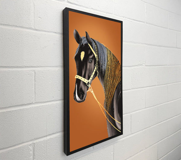 Horse Stare