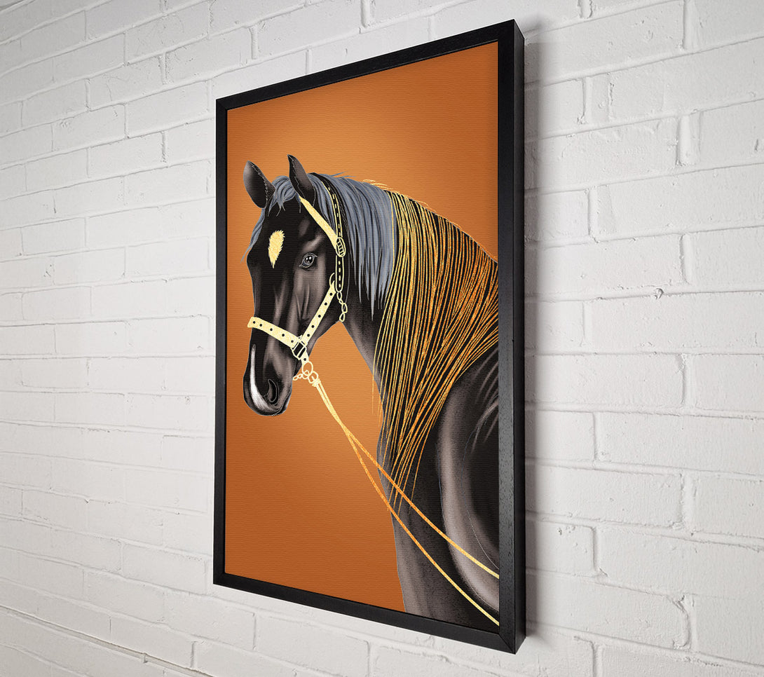  A Canvas Print of Horse Stare Canvas Wall Art
