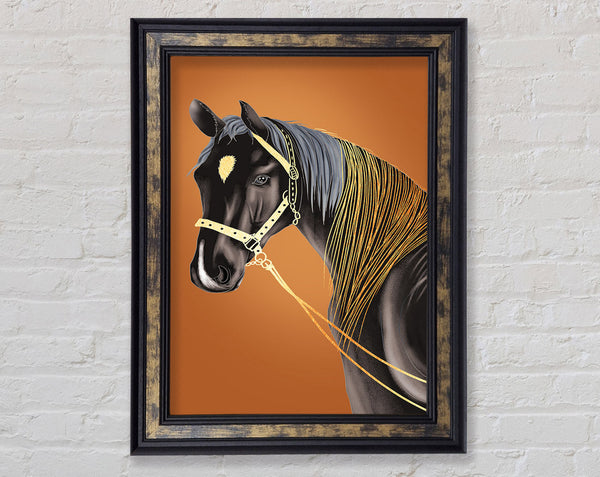 Horse Stare Framed Print