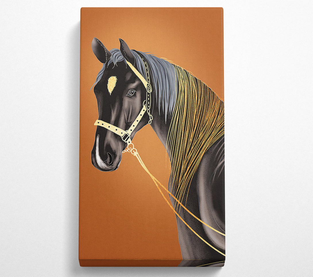  A Canvas Print of Horse Stare Canvas Wall Art