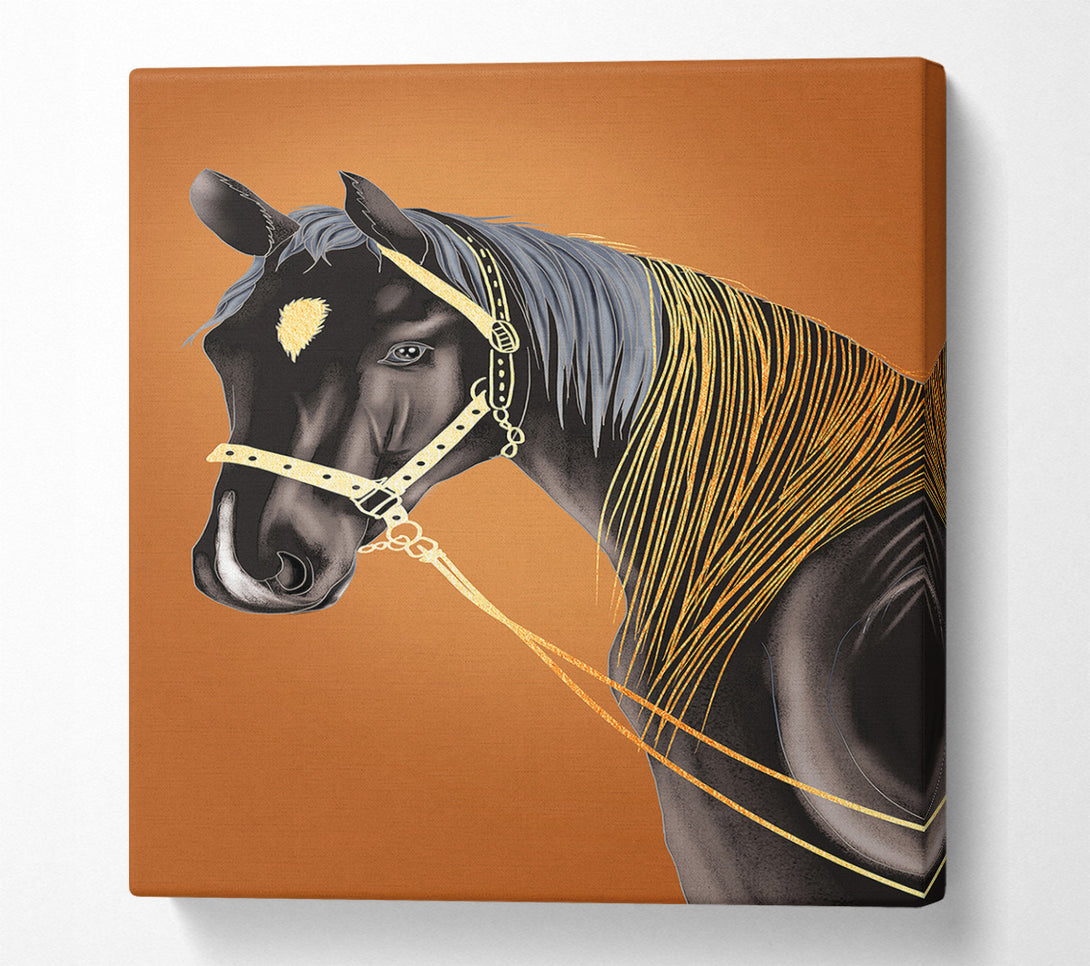  A Canvas Print of Horse Stare Canvas Wall Art