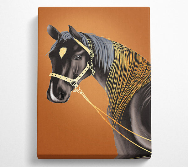  A Canvas Print of Horse Stare Canvas Wall Art