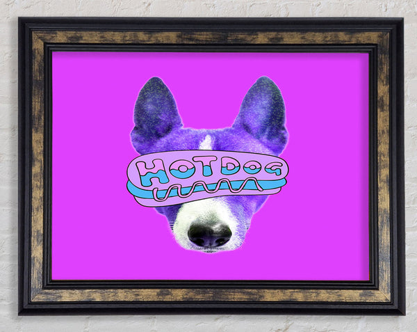 Hot Dog Framed Print