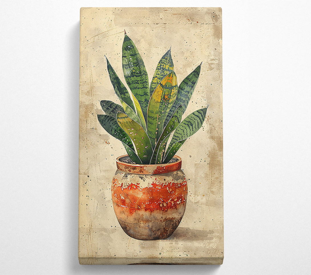  A Canvas Print of House Plant Ceramic Canvas Print