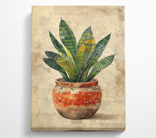  A Canvas Print of House Plant Ceramic Canvas Print