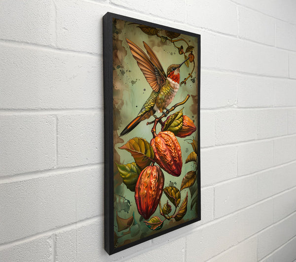 Humming Bird Cocoa Fruit