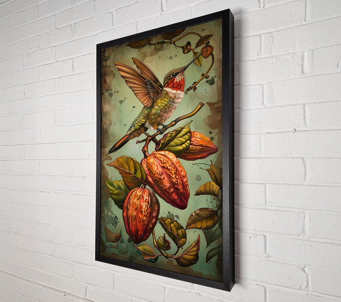  A Canvas Print of Humming Bird Cocoa Fruit Canvas Print
