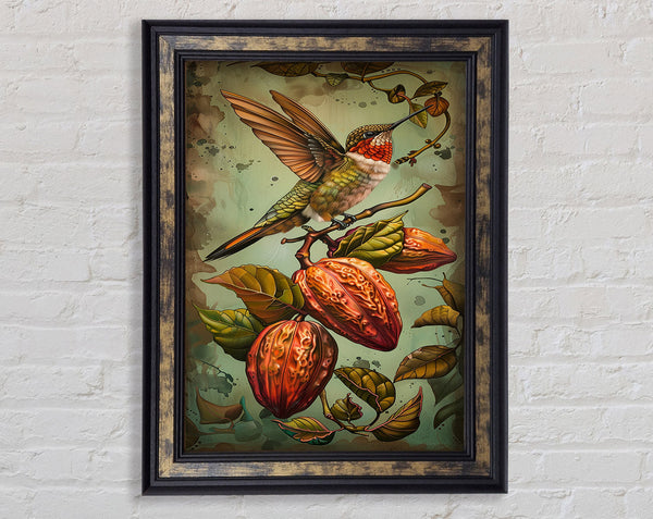 Humming Bird Cocoa Fruit Framed Print