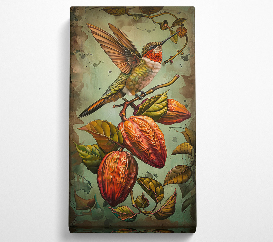  A Canvas Print of Humming Bird Cocoa Fruit Canvas Print