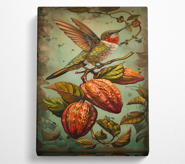  A Canvas Print of Humming Bird Cocoa Fruit Canvas Print