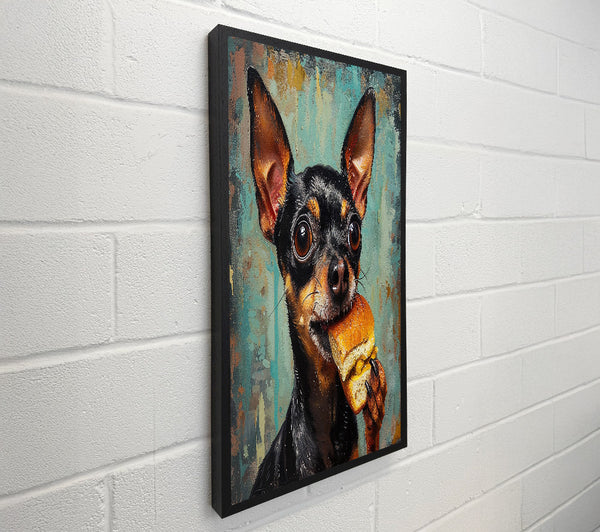 Hungry Chihuahua