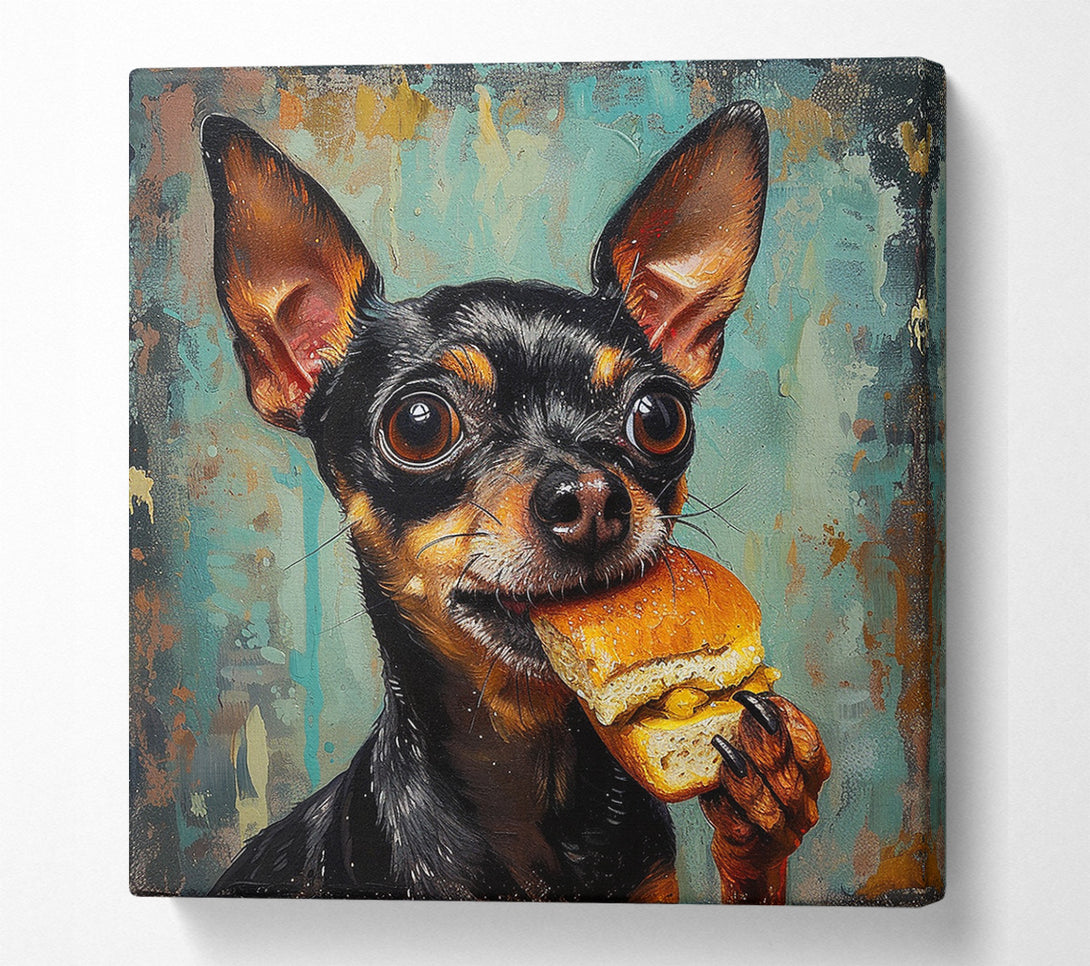  A Canvas Print of Hungry Chihuahua Canvas Art