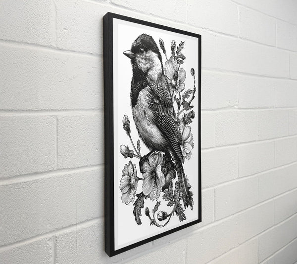 Intricate Black And White Bird