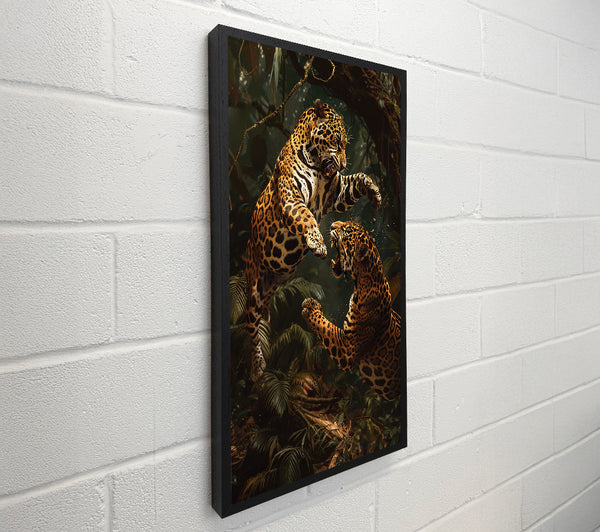 Jaguars Fighting