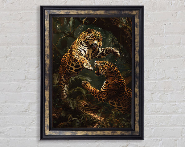 Jaguars Fighting Framed Print